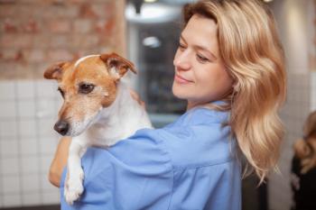 vet holding dog / Ihor / stock.adobe.com