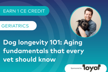 Dog Longevity 101: Aging Fundamentals That Every Vet Should Know