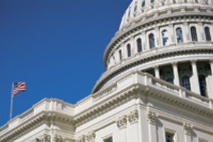 veterinary_capitol_hill_DC-676610-1384277370255.jpg