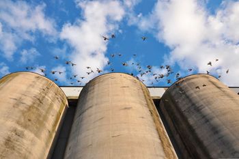 silo_450.jpg