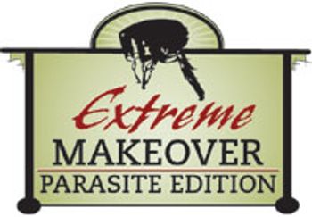 Extreme-Makeover-597472-1384510727532.jpg
