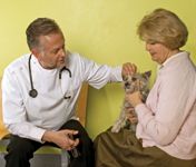 veterinary_counsultation-666580-1384323449336.jpg