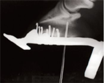 veterinary_dvm0611_Floyd_fig3-724423-1384192444933.jpg