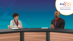 zoetis reference laboratories panel discussion pet connections