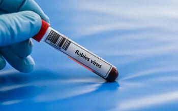 Q&A: A rabies expert on rising exposure reports and keeping human cases rare