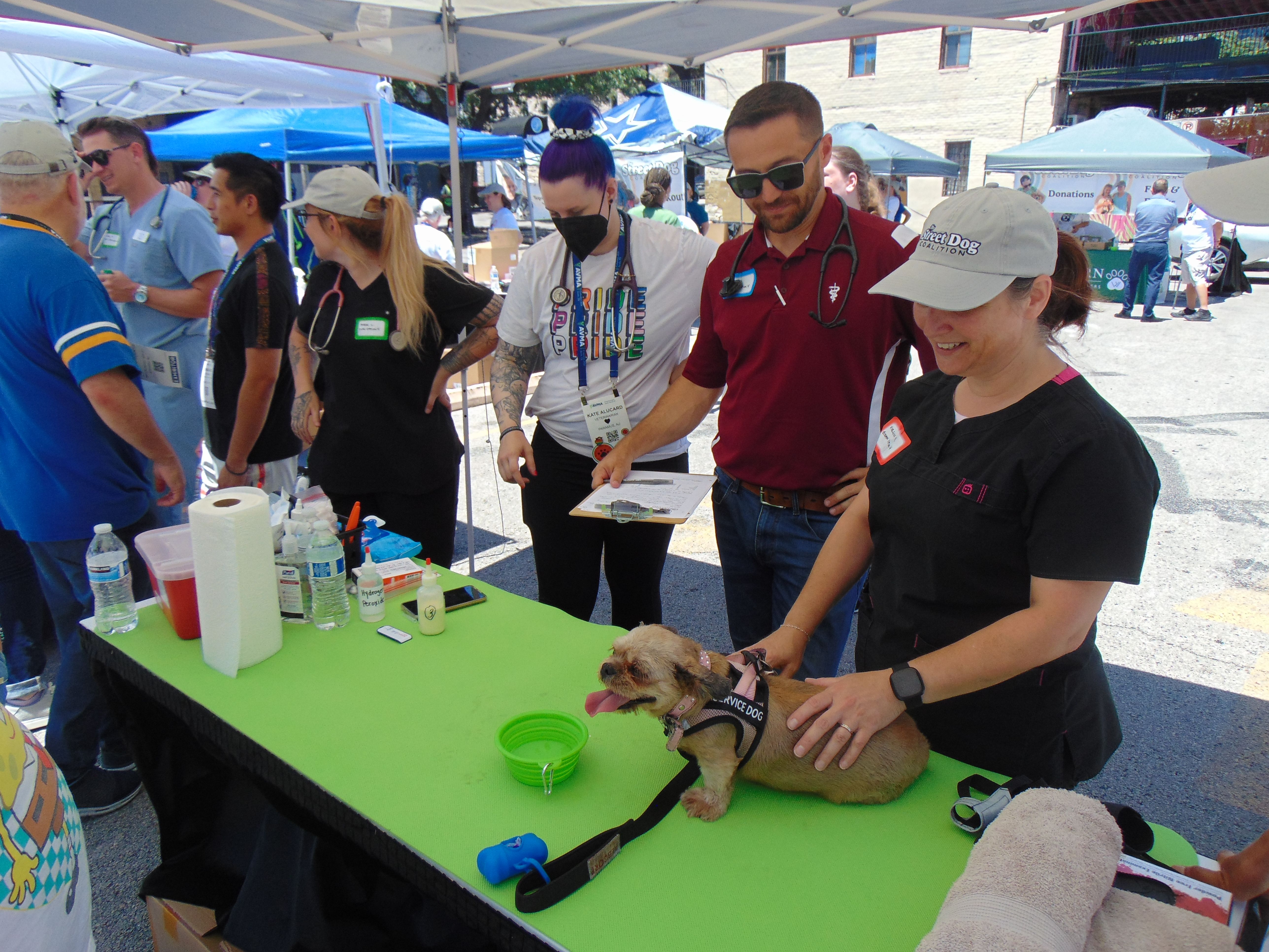 Veterinary Clinic at AVMA 2024