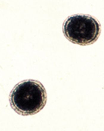 Figure-1-Zoonotic-Quiz-626594-1384496042441.jpg