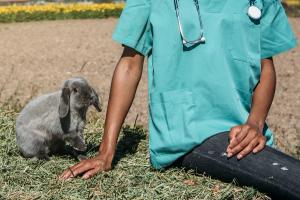Life as a Black veterinary student