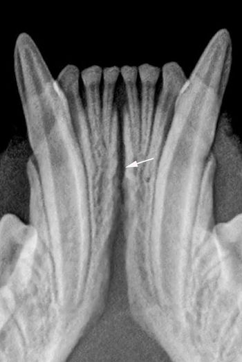 Figure1a_450-844515-1404210815130.jpg
