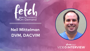 Neil Mittelman, DVM, DACVIM