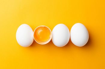 veterinary-row-of-eggs_AdobeStock_180491195-450.jpg