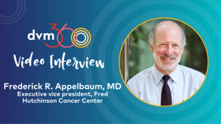 The two-way street of canine and human medicine