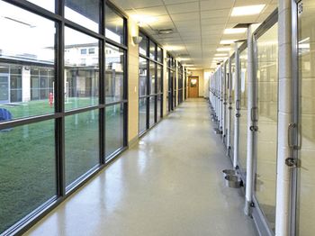 veterinary-AVACC-Boarding-Play-Area_450px.jpg