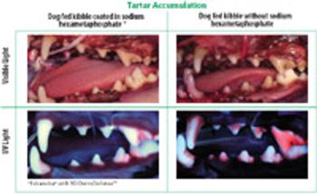 Tartar-Accumulation_t-783411-1384158869710.jpg