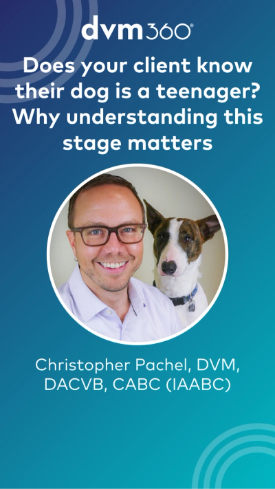 Does your client know their dog is a teenager? Why understanding this stage matters