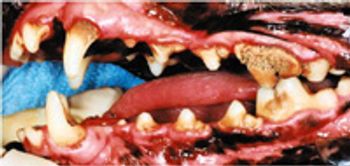 Fig4_stg2_periodontal_disea-700999-1384212032002.jpg