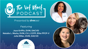 Just Bust a Myth!: Canine Food Allergies Demystified