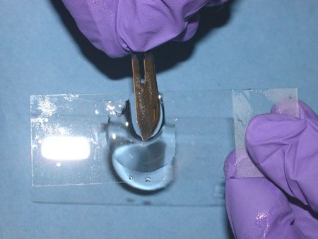 Obtaining a skin scraping