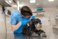 An untapped clinical resource may already be on staff, research suggests