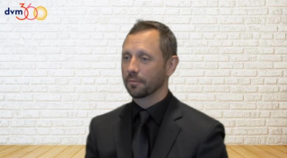 Directions in Veterinary Medicine conference