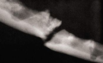 dvm_1110_BeckmanFig3-693004-1384222320858.jpg