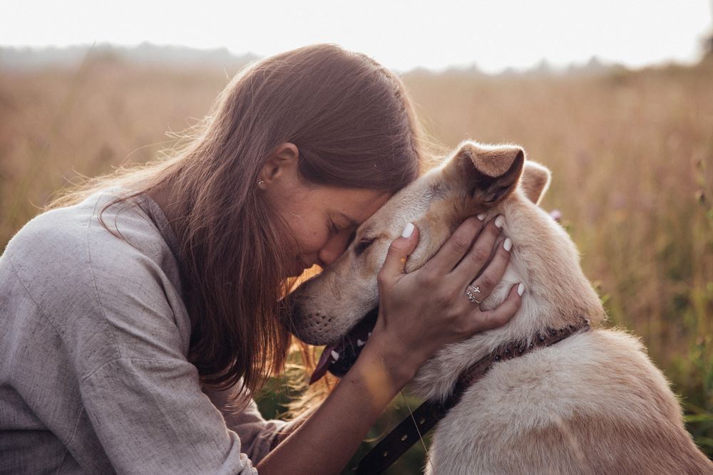 The Humane Society of the United States launches More Than a Pet campaign