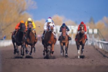 veterinary_kane_horse_race_78363321-738252-1384181904982.jpg