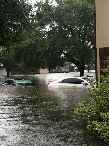 veterinary-hurricaneharvey-jasonleavitt-450.jpg