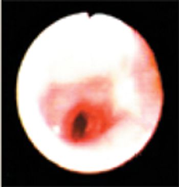 i4-397289-1384755962382.jpg