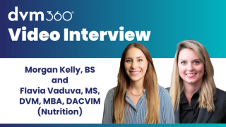 Approaching patient wellness with therapeutic nutrition