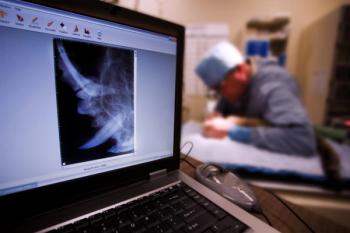 Scott Griessel / stock.adobe.com / pet dental xray