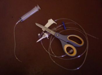 veterinary_idea_Young_450.jpg