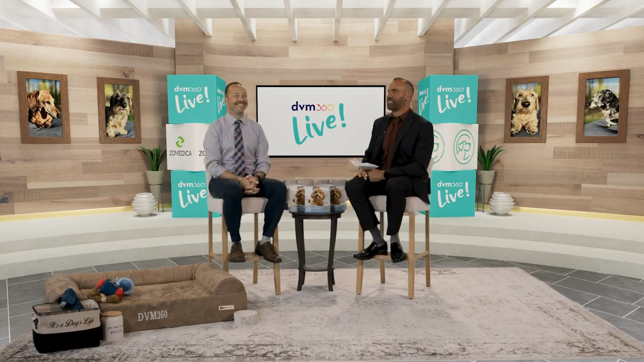 Tackling canine separation anxiety with Dr Christopher Pachel