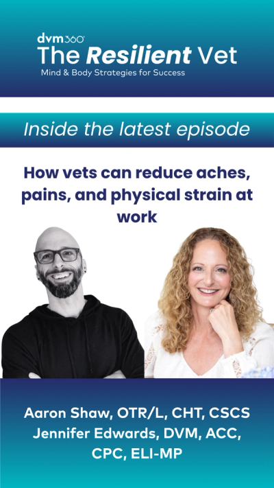 How vets can reduce aches, pains, and physical strain at work