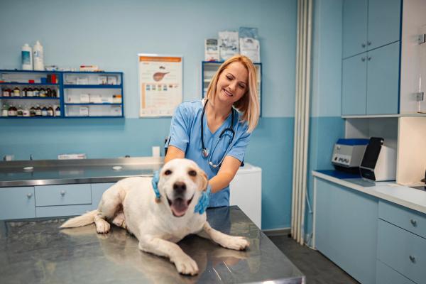 Wrap up: dvm360 celebrates National Veterinary Technician Week, and other news 