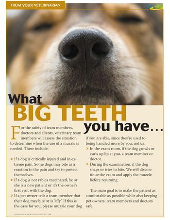 muzzle-handout-450.jpg