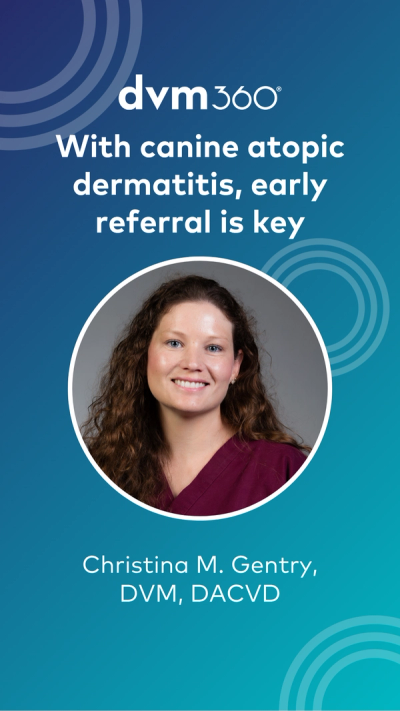Christina M. Gentry, DVM, DACVD