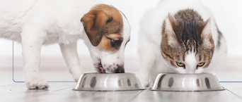 How to Read a Pet Food Label