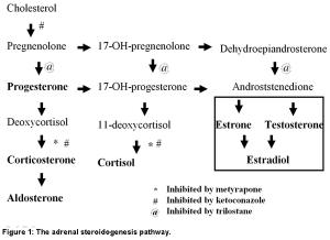 figure1-603181-1384508438441.jpg