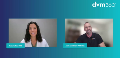 Felanorm® (methimazole) Oral Solution dvm360 Video Showcase: An Easy Solution for Treating Feline Hyperthyroidism