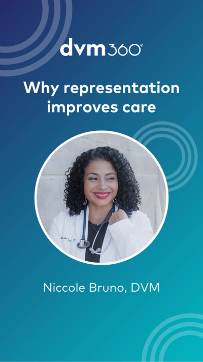 Why representation improves care
