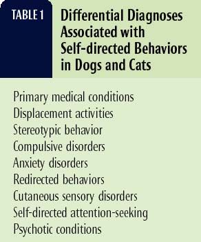 Self Directed Behaviors In Dogs And Cats