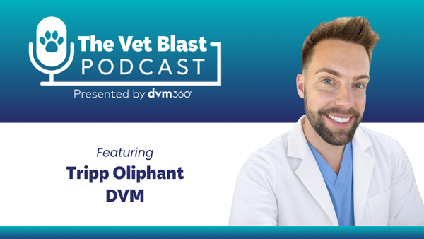 Beyond the exam room: Pride month in veterinary medicine
