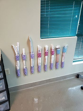veterinary-jenny-450.jpg