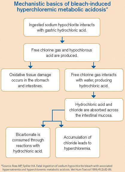 Toxicology Brief Sodium Hypochlorite Bleach Ingestion In Two Dogs