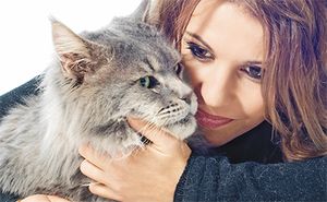 veterinary_cat_owner_getty_450.jpg