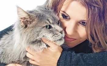 veterinary_cat_owner_getty_450.jpg
