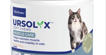 Ursolyx soft chews for cats
