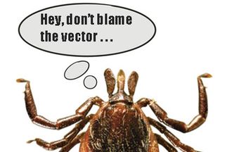 lyme450.jpg