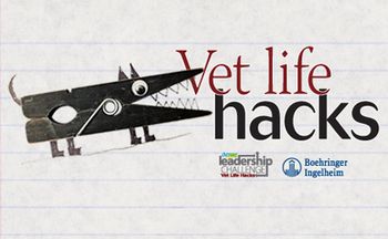 veterinary-leadership-hack-548779859-450.jpg